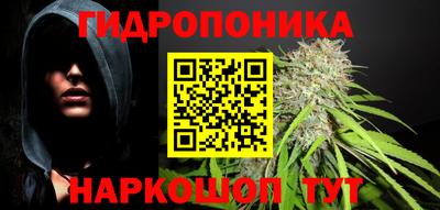 ешки Бердск