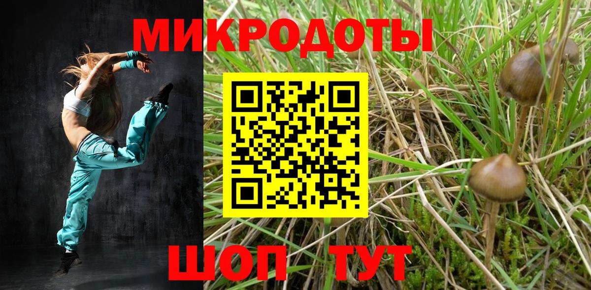 цены   Галлюциногенные грибы Psilocybine cubensis  Вход с VPN  Гуково 