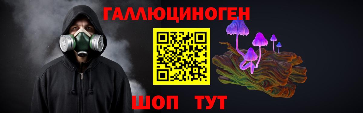 Галлюциногенные грибы Psilocybine cubensis Гуково